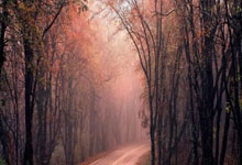 @冰雪运动爱好者 这里有份安全科普请查收央视新闻客户端.