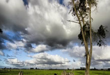 开云体育官网：[高尔夫]沙特女子国际赛提提库大赢4杆提前庆生 何沐妮T8.